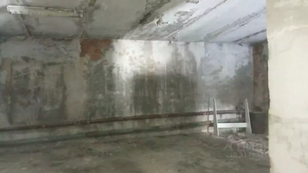 Помещение свободного назначения в Челябинская область, Красноармейский ... - Фото 1