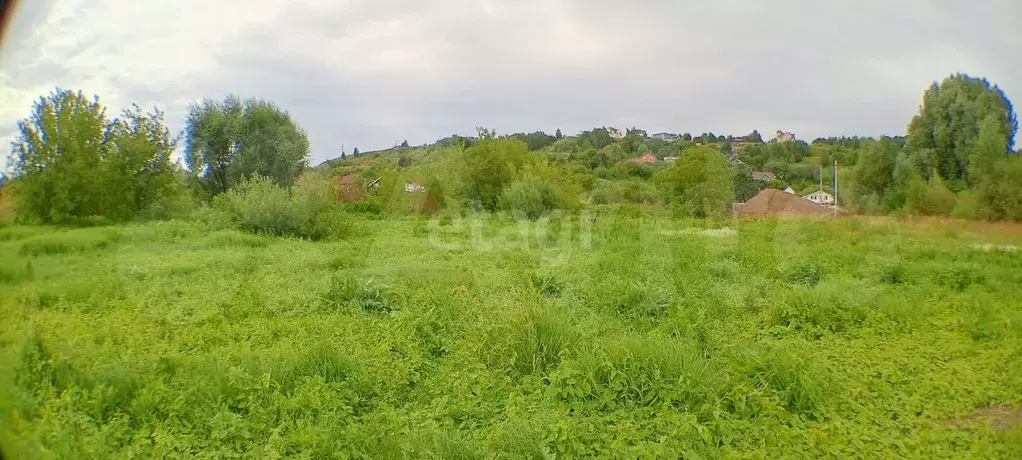 Участок 12 сот. (ИЖС) - Фото 1