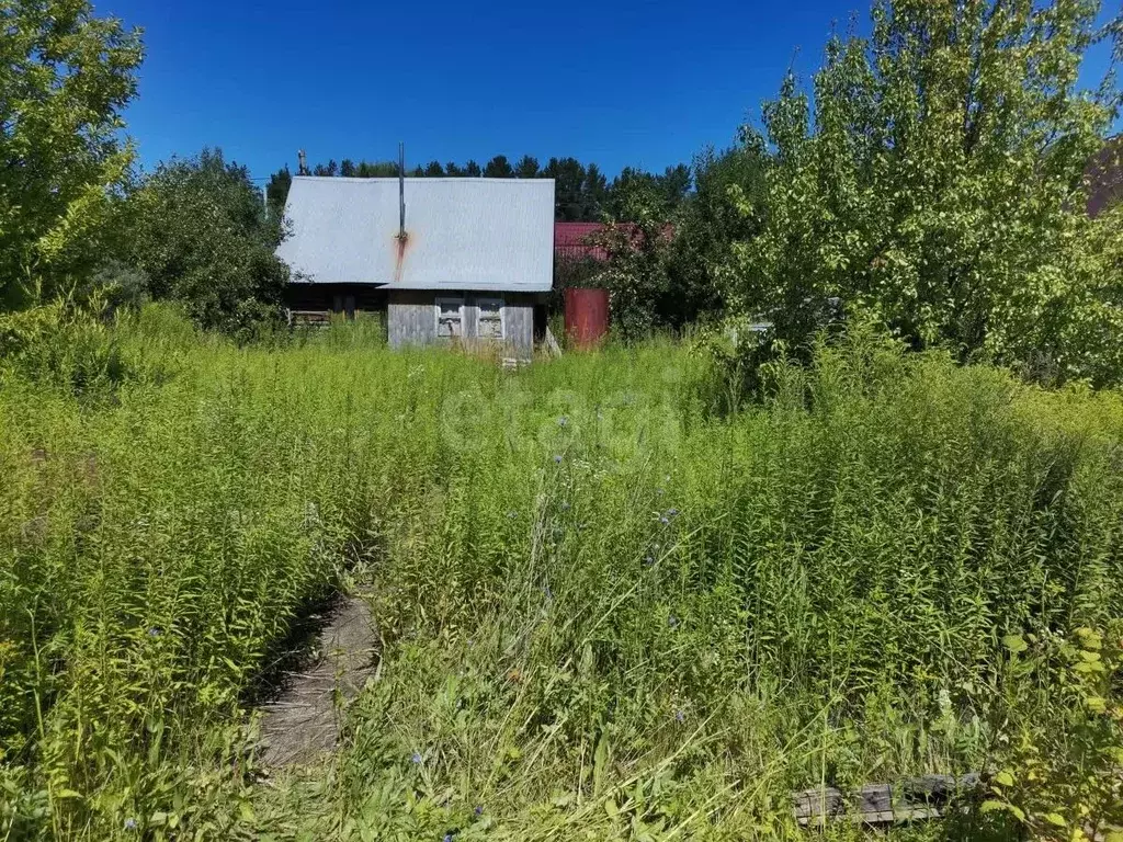 Дом в Башкортостан, Иглинский район, Акбердинский сельсовет, ... - Фото 2
