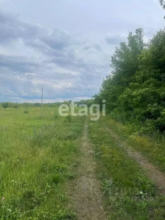 Участок в Воронежская область, с. Новая Усмань, Отрада СНТ ул. Речная ... - Фото 1