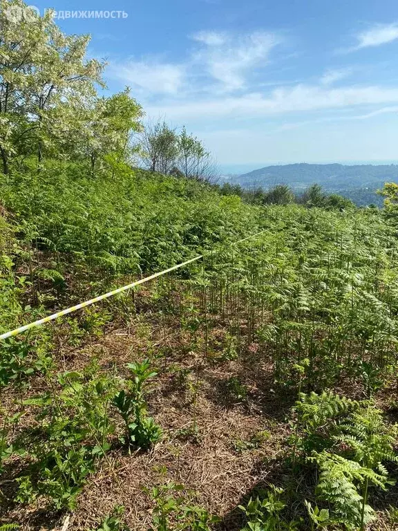 Участок в село Сергей-Поле, Прудный переулок, 10А (53 м) - Фото 1