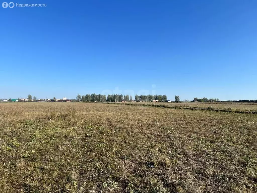 Участок в Лямбирский район, село Берсеневка (6.9 м) - Фото 1