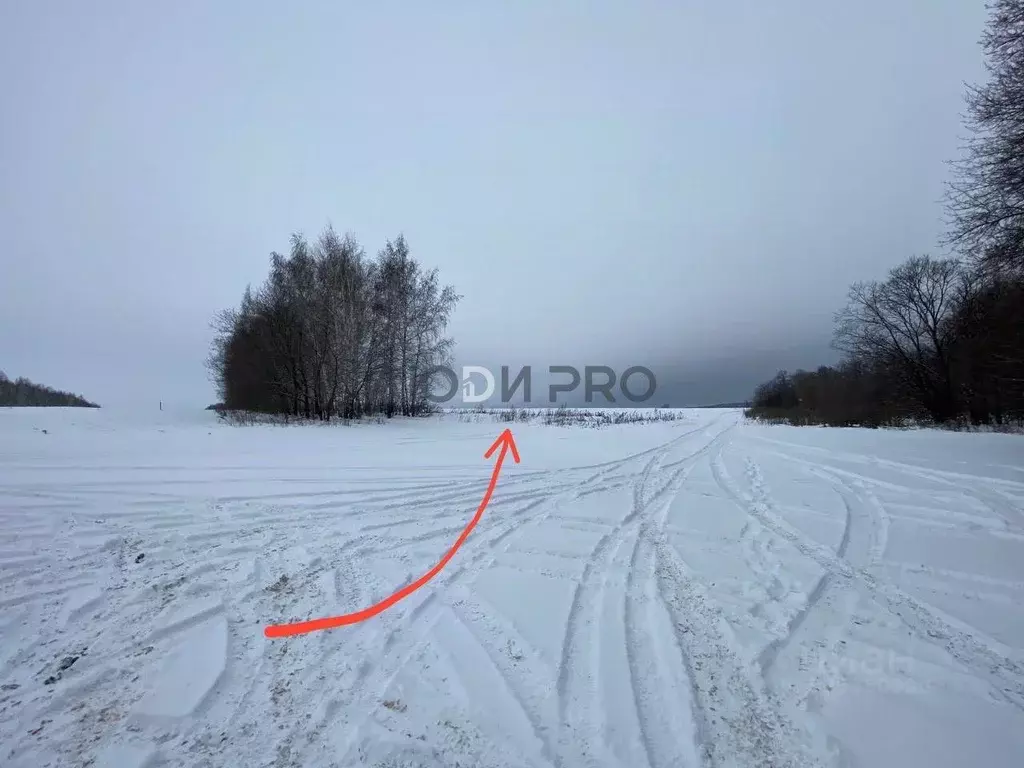 Участок в Саратовская область, Татищевский район, Вязовское ... - Фото 1