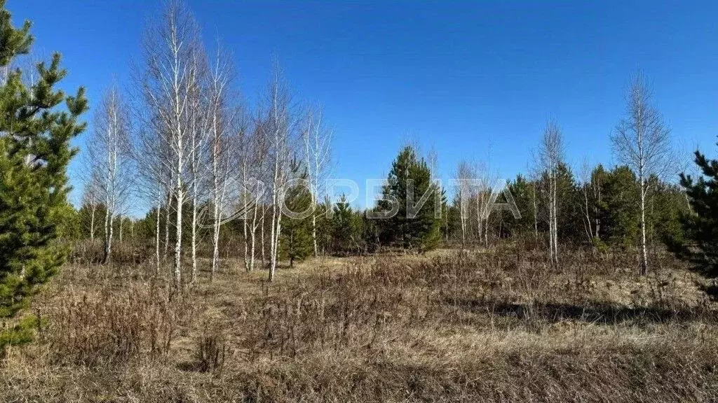 Участок в Тюменская область, Нижнетавдинский муниципальный округ, ... - Фото 1