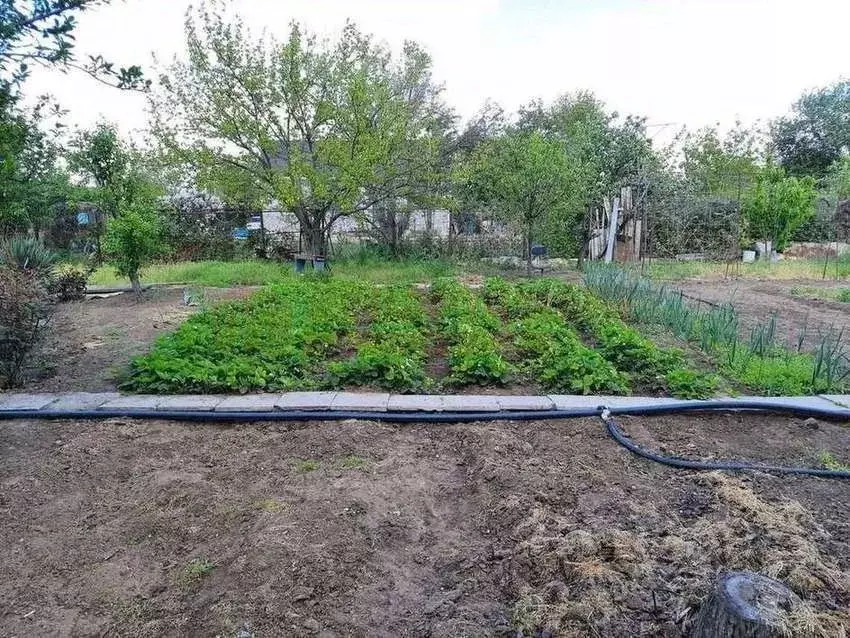 Дом в Астраханская область, Астрахань ул. 2-я Турбазовская (65 м) - Фото 1