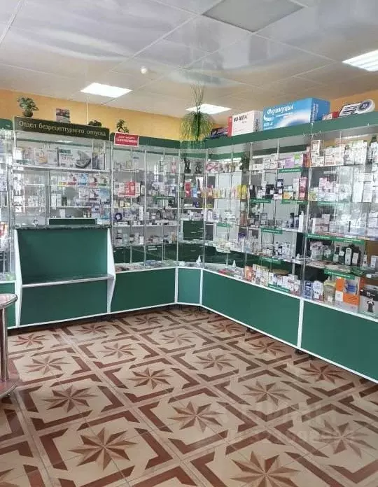 Помещение свободного назначения в Челябинская область, с. Варна ул. ... - Фото 2