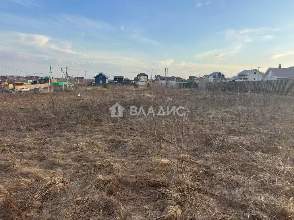 Участок в Нижегородская область, Богородский муниципальный округ, д. ... - Фото 1