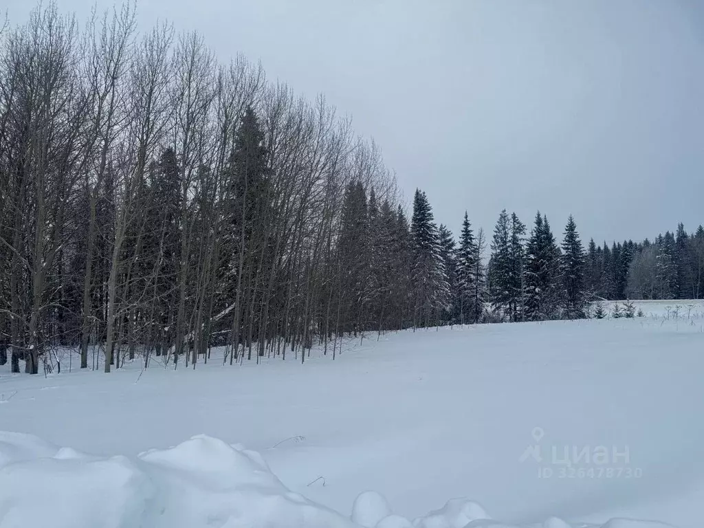 Участок в Пермский край, Пермский муниципальный округ, д. Большакино ... - Фото 1
