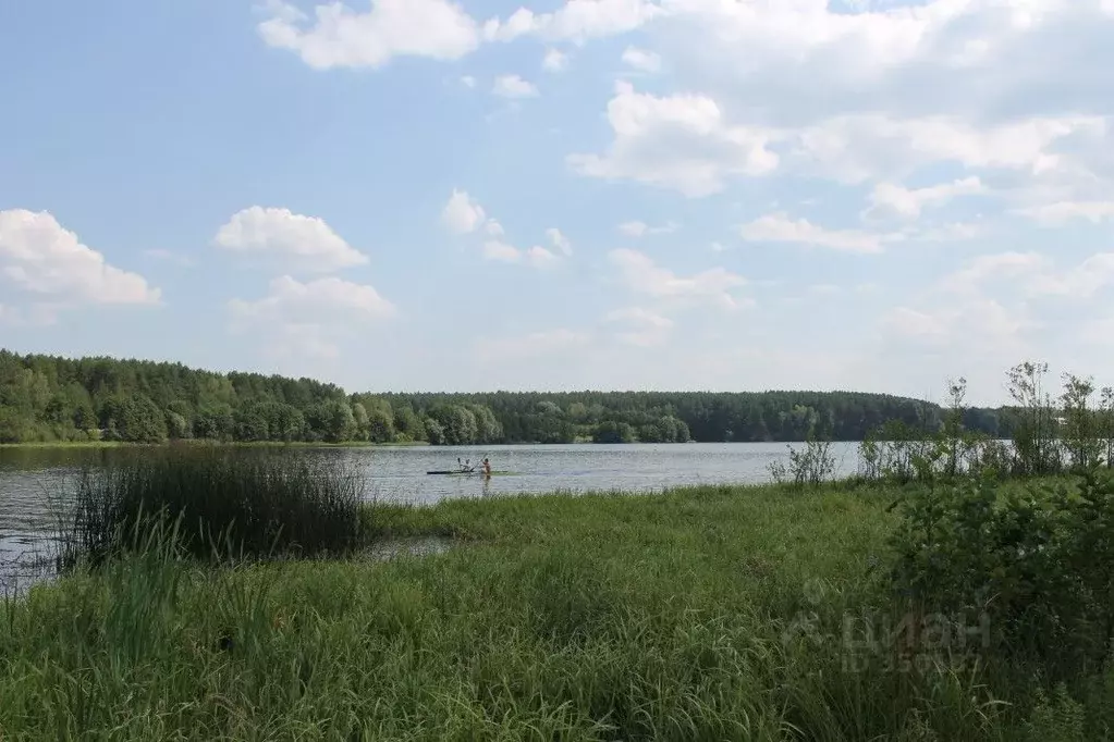 участок в рязанская область, касимовский район, с. ласино (50.0 сот.) - Фото 0