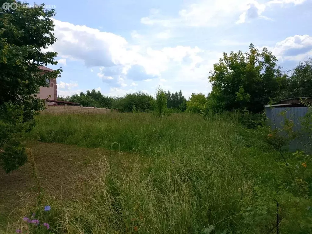 Участок в Горбатов, Южная улица (12 м) - Фото 2