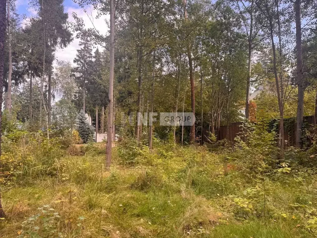 Участок в Московская область, Одинцовский городской округ, д. Бородки, ... - Фото 2