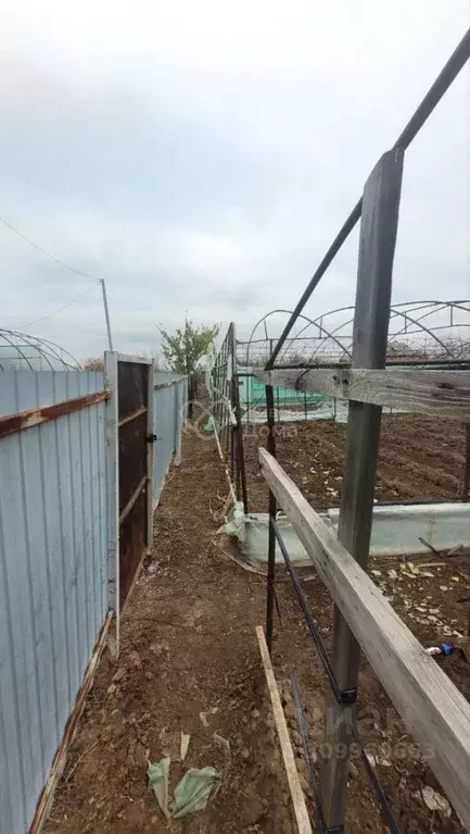 Участок в Волгоградская область, Волжский Садовод-1 СНТ, ул. ... - Фото 1