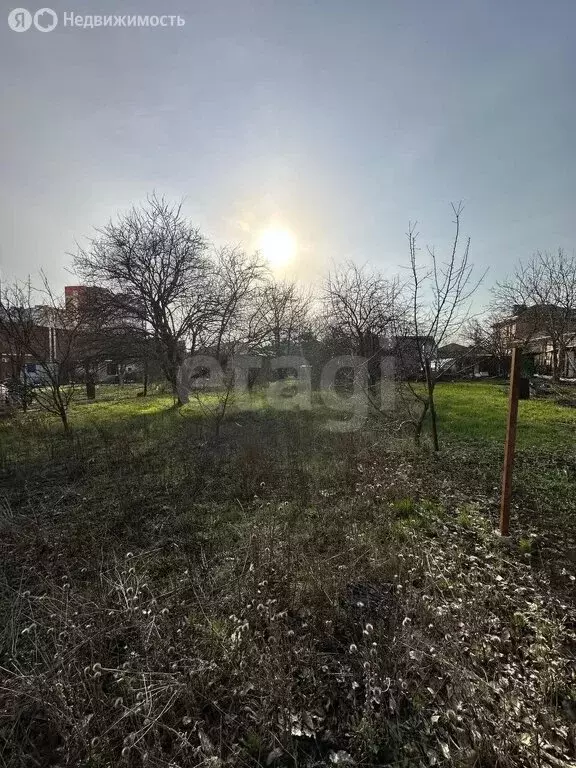 Участок в Ростов-на-Дону, садовое товарищество Урожай, 4-й Лазоревый ... - Фото 1