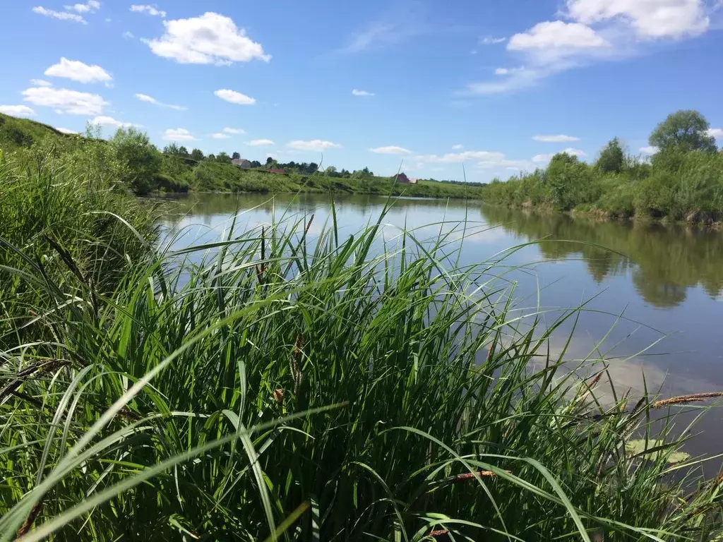 Участок в Владимирская область, Собинский муниципальный округ, д. ... - Фото 2