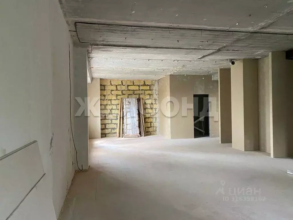 4-к кв. Новосибирская область, Новосибирск Дачное ш., 2 (201.7 м) - Фото 1