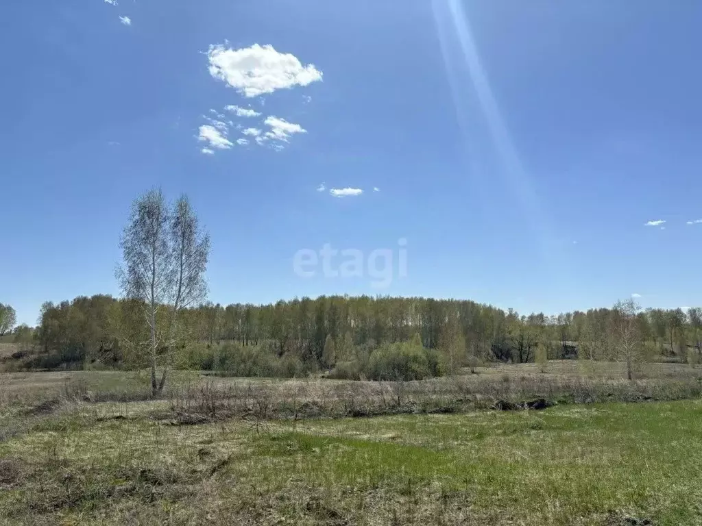 Участок в Новосибирская область, Новосибирск Садовые участки,  (6.6 ... - Фото 1