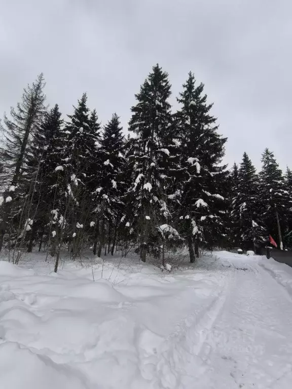 Участок в Москва пос. Красные горки, ул. Заречная, 97 (48.0 сот.) - Фото 2