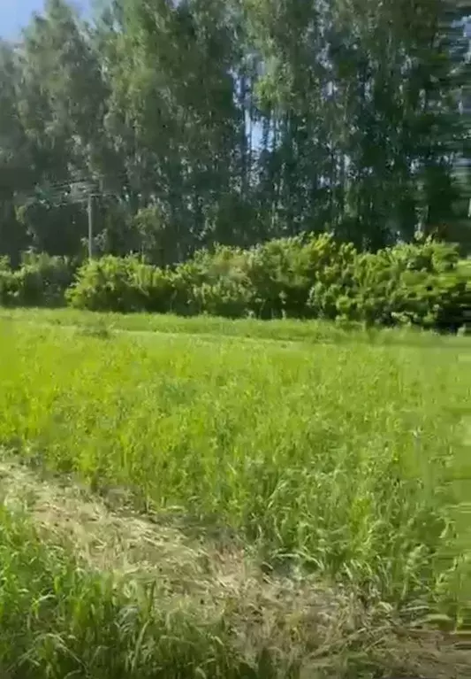 Участок в Свердловская область, Екатеринбург тракт Полевской (6.5 ... - Фото 1