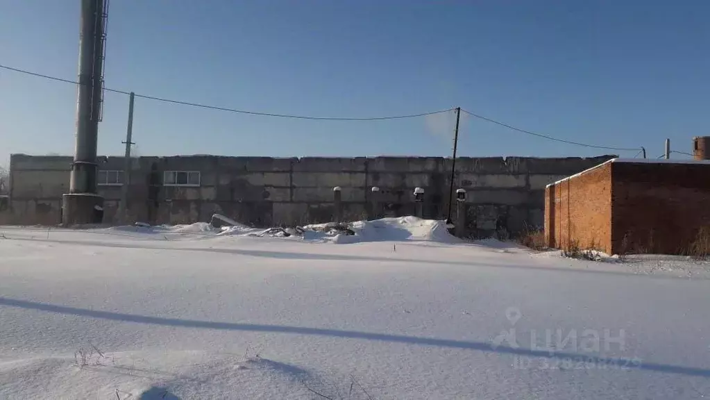 Офис в Новосибирская область, Новосибирский район, Барышевский ... - Фото 2