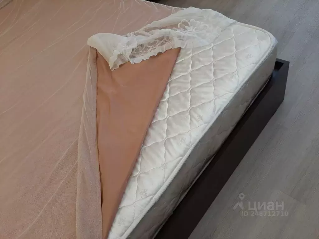 Студия Новосибирская область, Новосибирск ул. Серафимовича, 18А (27.0 ... - Фото 1