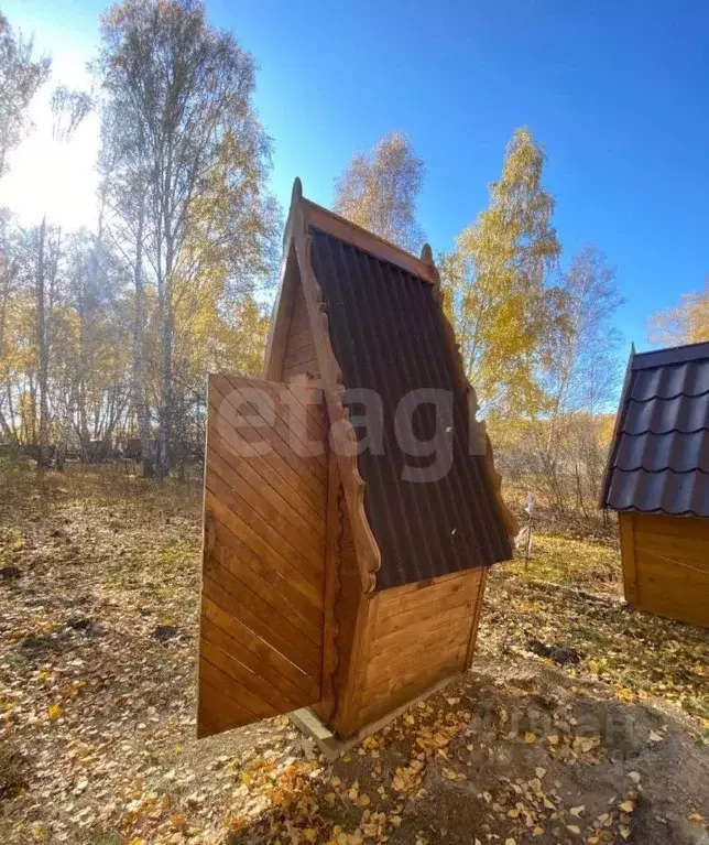 Участок в Новосибирская область, Искитимский район, Совхозный ... - Фото 1