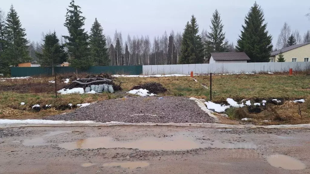 Участок в Ленинградская область, Ломоносовский район, Пениковское ... - Фото 1