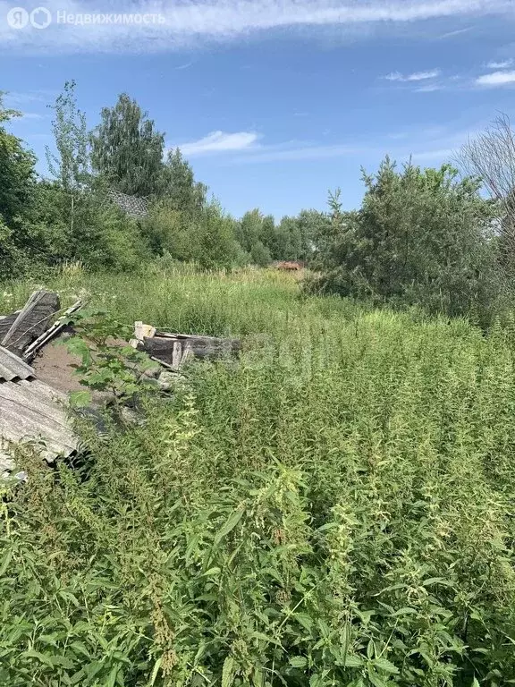 Дом в муниципальное образование Новосельское, деревня Бельково (30.4 ... - Фото 1