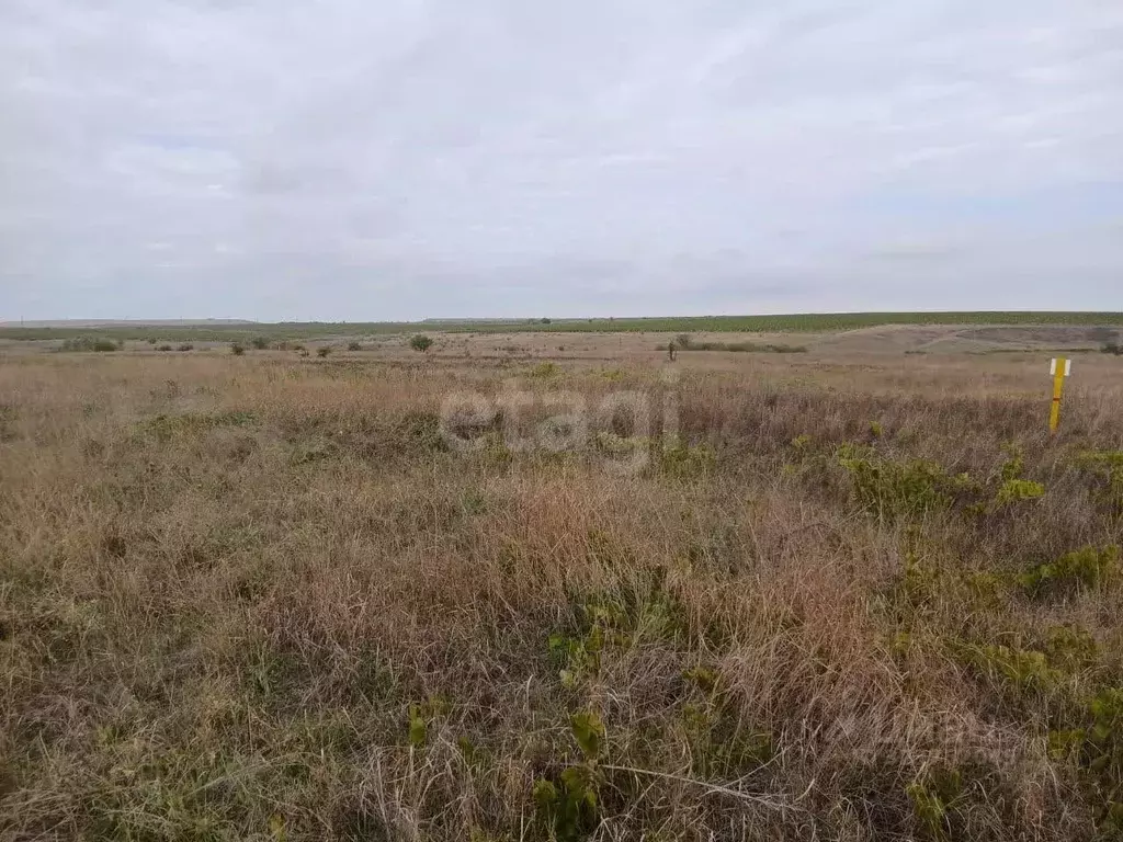 Участок в Крым, Феодосия муниципальный округ, Приморский пгт ул. Авдет ... - Фото 1