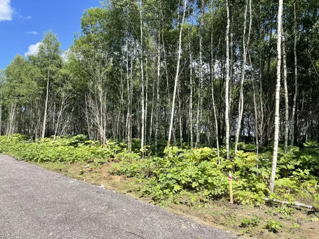 Участок в Московская область, Солнечногорск городской округ, д. Новая  ... - Фото 1