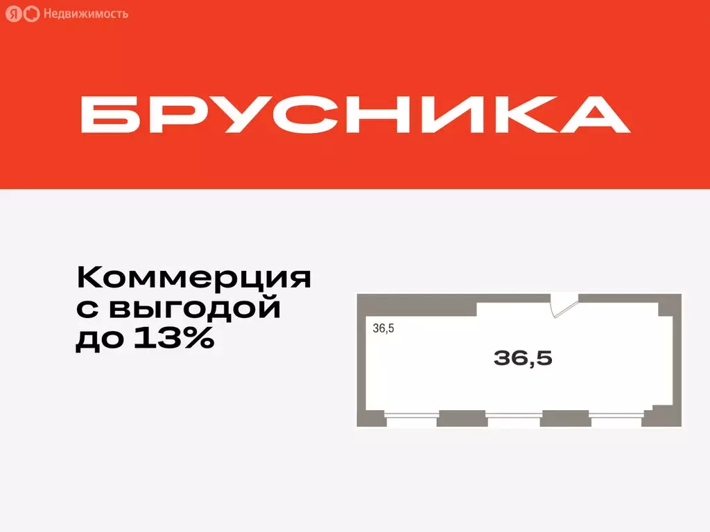 Помещение свободного назначения (36.5 м) - Фото 0