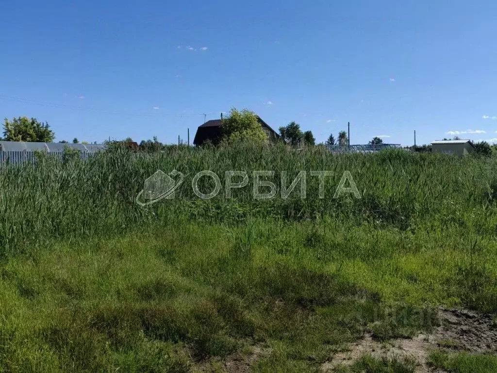 Участок в Тюменская область, Тюменский район, с. Червишево  (7.0 сот.) - Фото 1