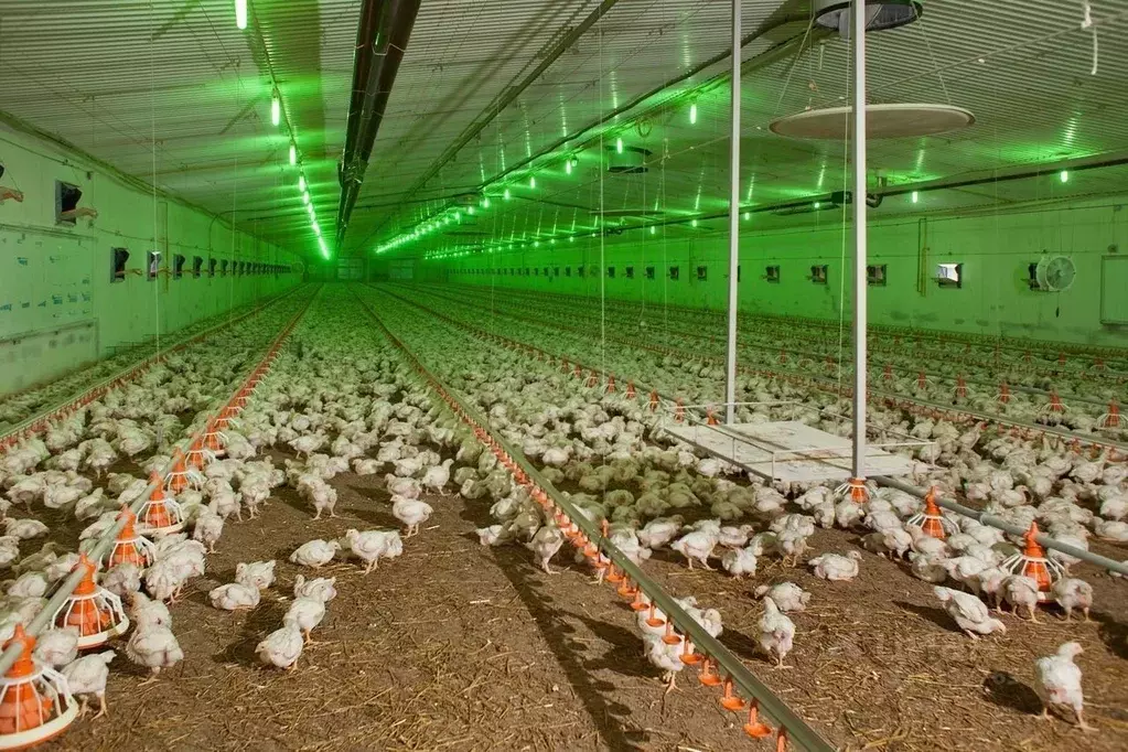 Склад в Краснодарский край, Крымск ш. Молдаванское, 1 (2000 м) - Фото 2