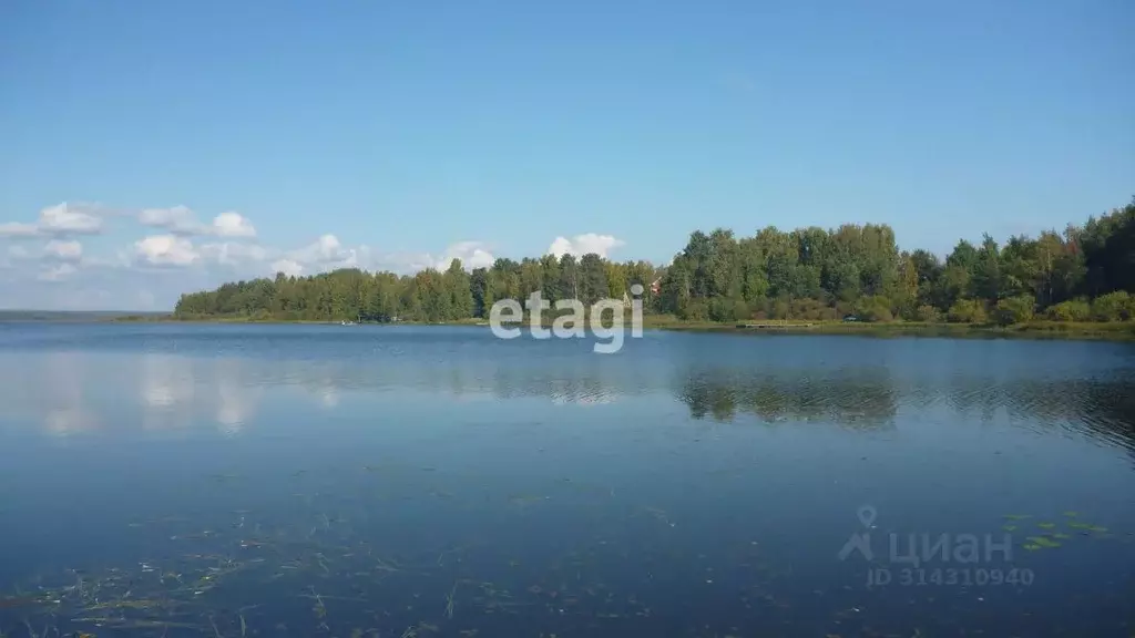 Участок в Ленинградская область, Всеволожский район, Куйвозовское ... - Фото 0