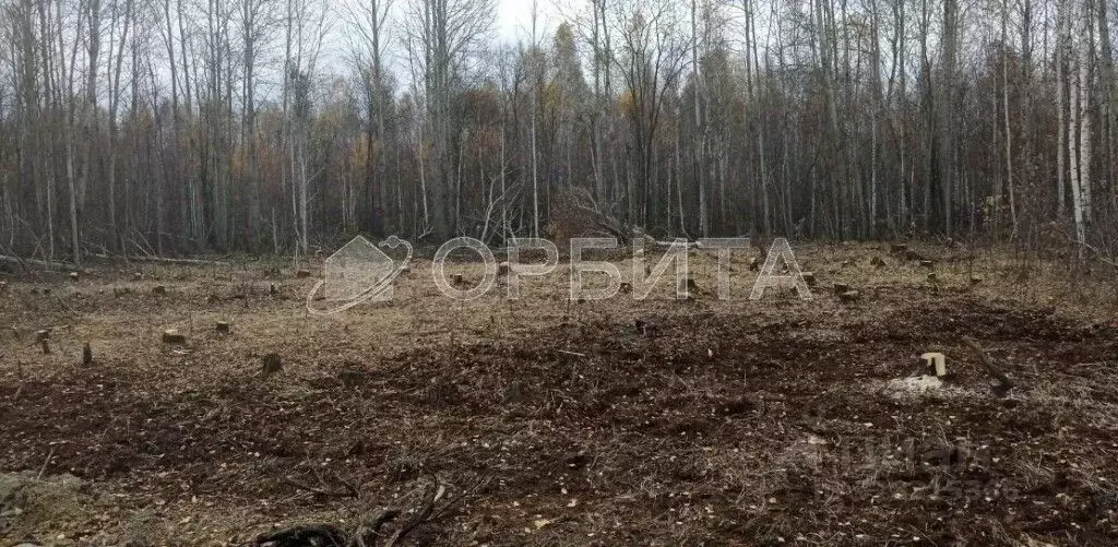 Участок в Тюменская область, Нижнетавдинский муниципальный округ, ... - Фото 1