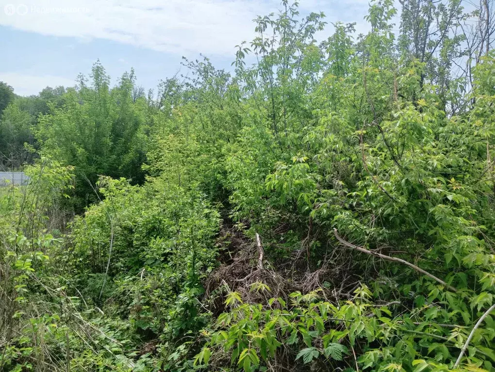 Участок в Оренбургский район, Ленинский сельсовет, СНТ Хутор ... - Фото 2
