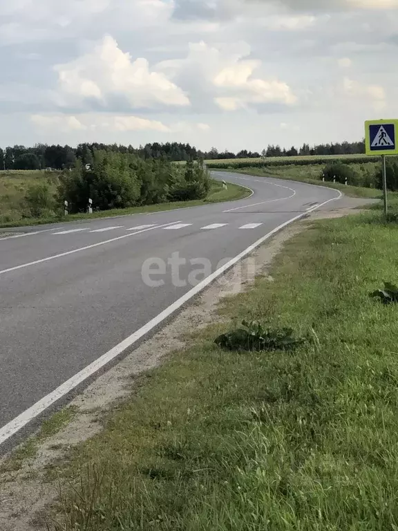 Участок в Брянская область, Брянский район, Добрунское с/пос, с. ... - Фото 1