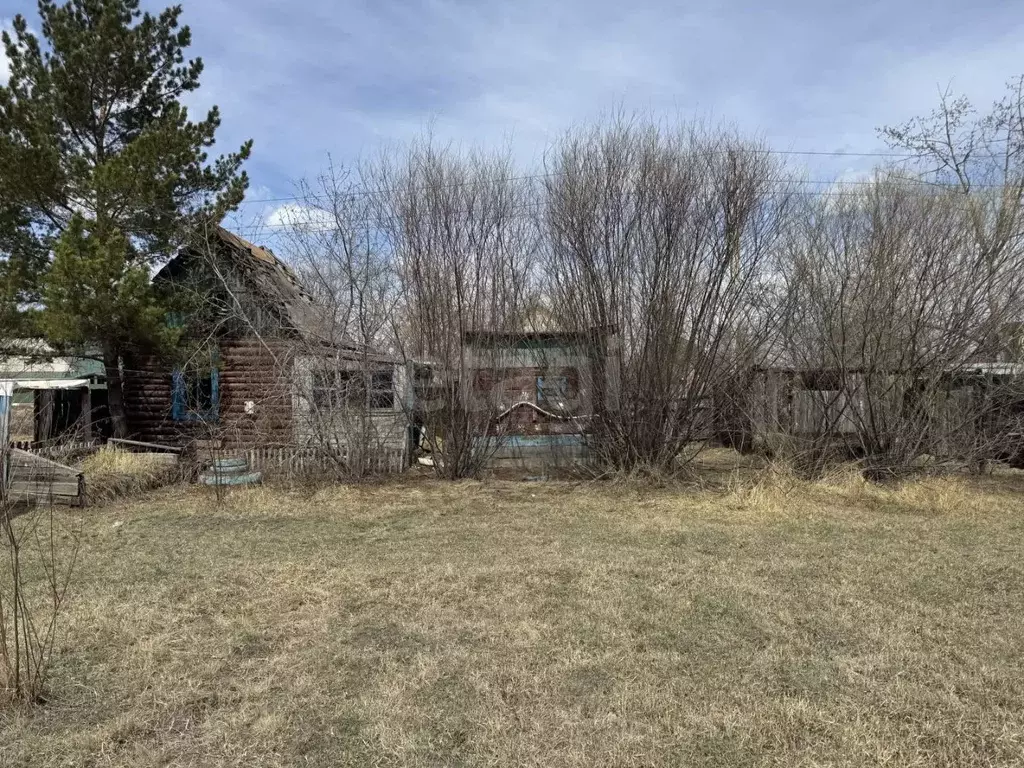 Участок в Забайкальский край, Чита № 127 Озерный НСОТ, 31 (8.1 сот.) - Фото 1