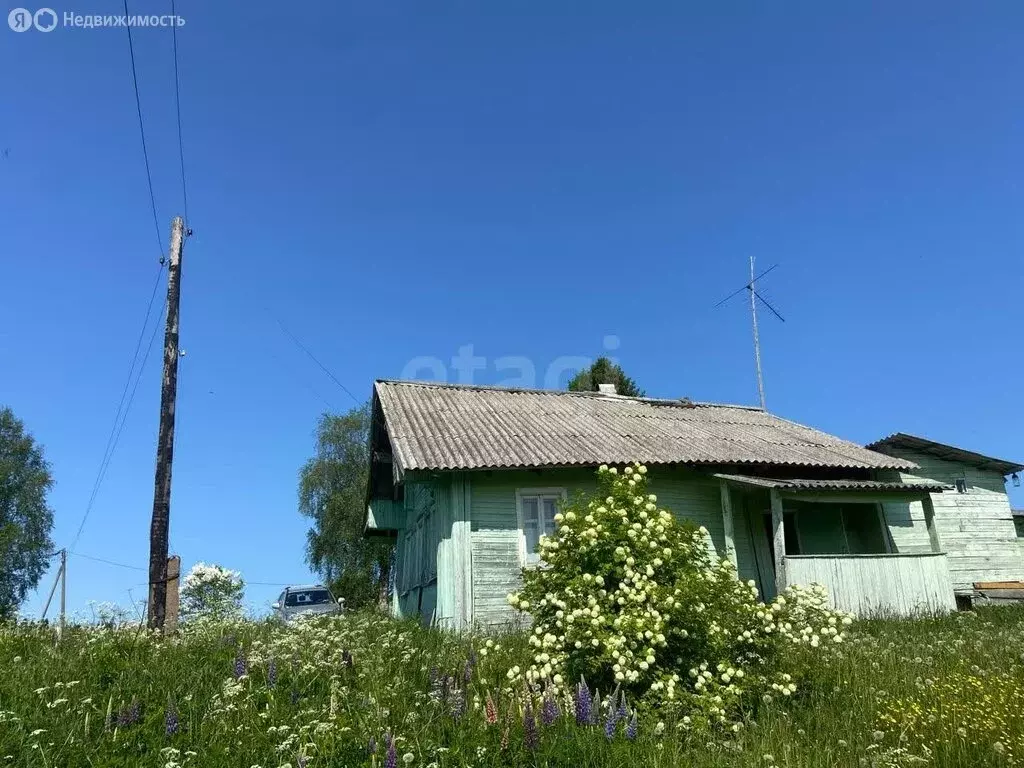 Дом в Ведлозерское сельское поселение, деревня Паннила (40 м) - Фото 1