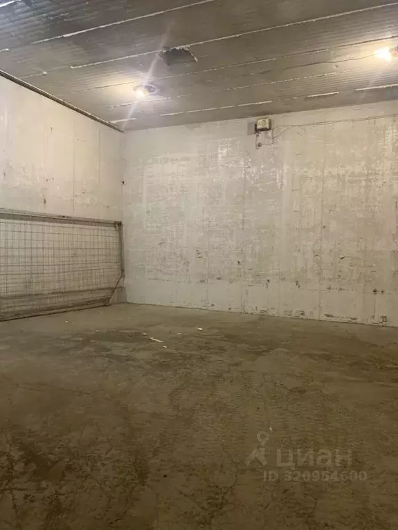 Помещение свободного назначения в Кировская область, Киров ул. ... - Фото 0