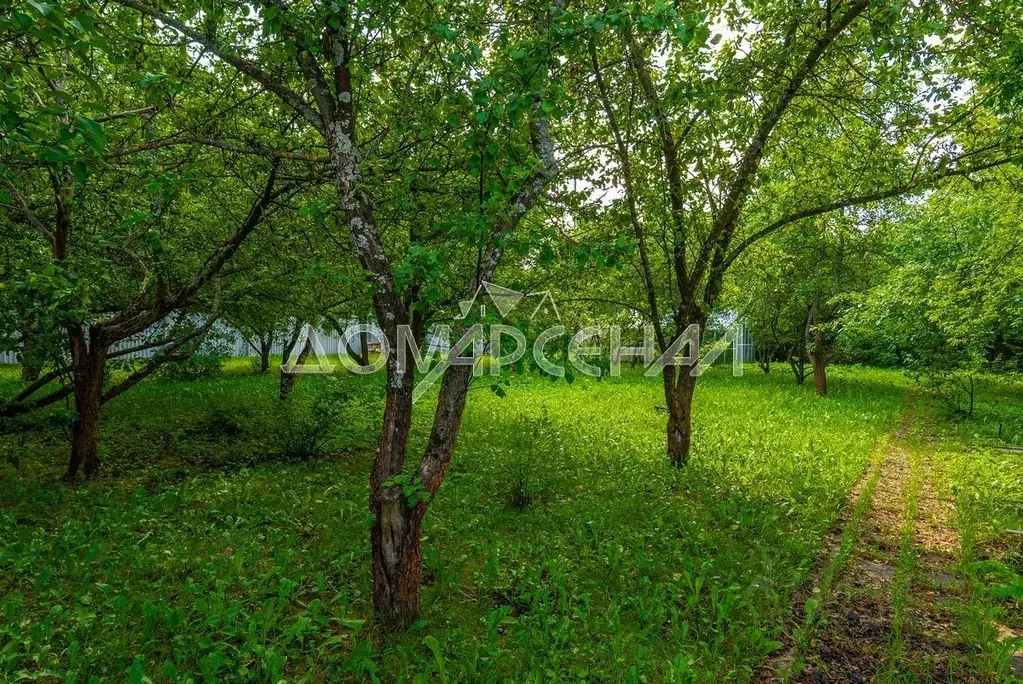 Участок в Москва Первомайское поселение, д. Фоминское, Согласие-1 кп,  ... - Фото 0
