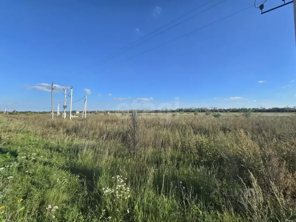 Участок в Воронежская область, Семилукский район, Губаревское с/пос, У ... - Фото 2