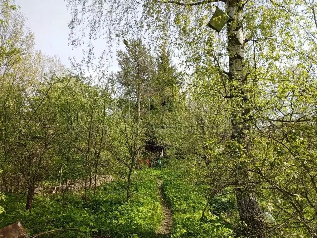 Участок в Санкт-Петербург Горелово тер., ул. Парковая, 91 (7.5 сот.) - Фото 2