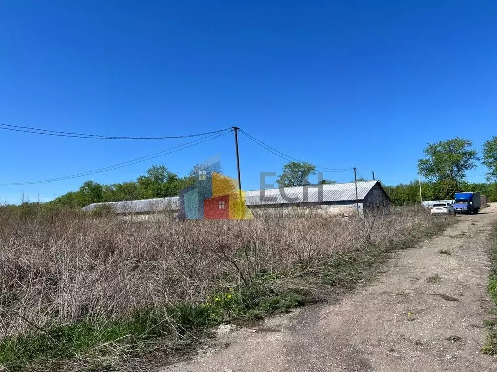 Помещение свободного назначения в Тульская область, Киреевский район, ... - Фото 0