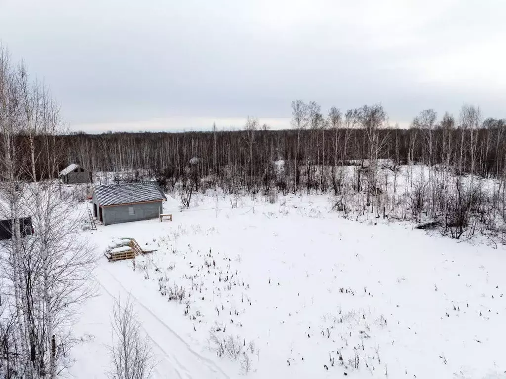 Участок в Новосибирская область, Новосибирский район, Станционный ... - Фото 2