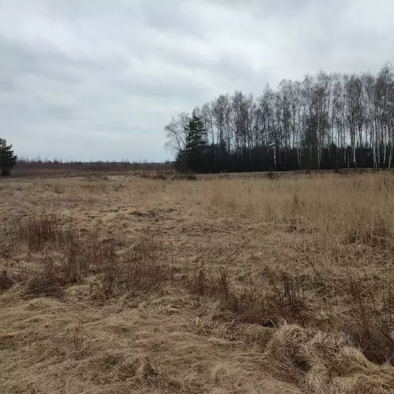 Участок в Московская область, Павлово-Посадский городской округ, с. ... - Фото 0