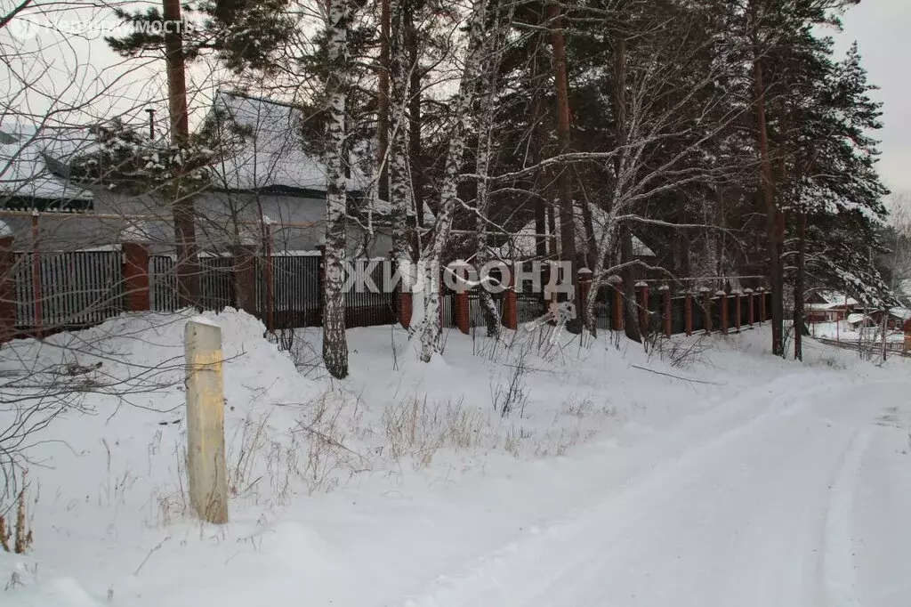 Купить Дом В Сосновке Новосибирский