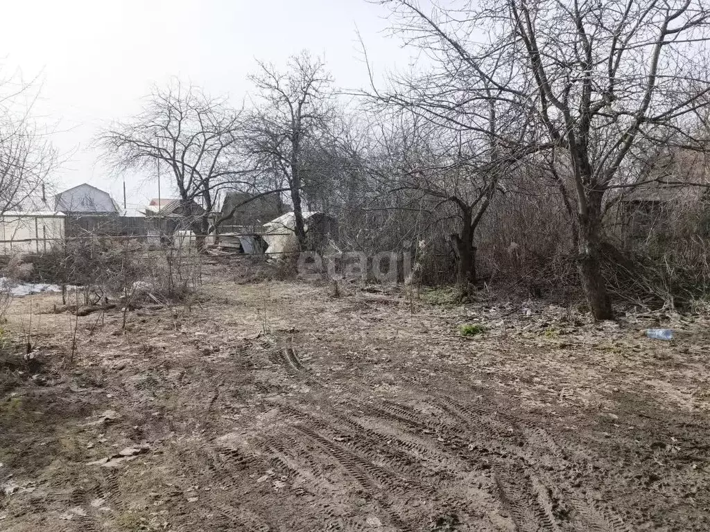 Участок в Нижегородская область, Выкса Труд садовые участки, 877 (4.0 ... - Фото 1