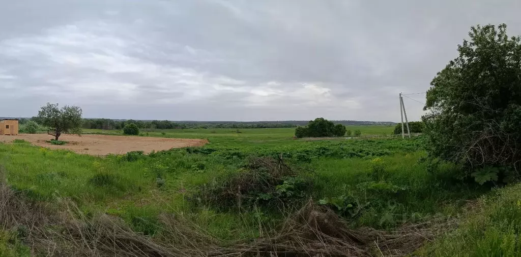 Участок в Калужская область, Козельский муниципальный округ, Нижние ... - Фото 1