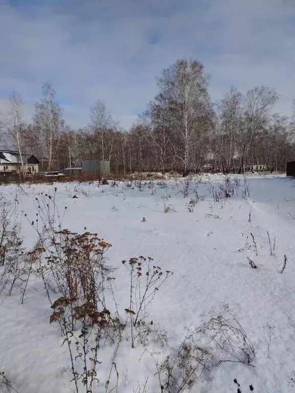 Участок в Омская область, Омск ул. Лобова (8.0 сот.) - Фото 1