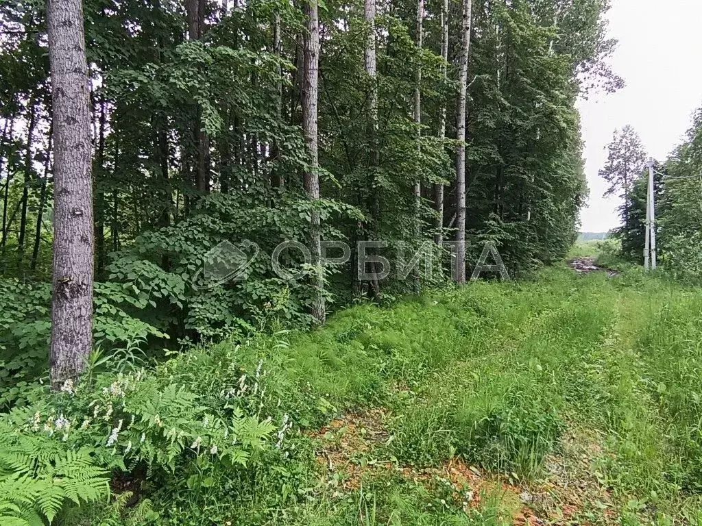 Участок в Тюменская область, Нижнетавдинский муниципальный округ, ... - Фото 1